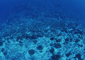 【公式情報】東横INN西武池袋線東久留米駅西口｜駅近の快適ビジネスホテルとその魅力