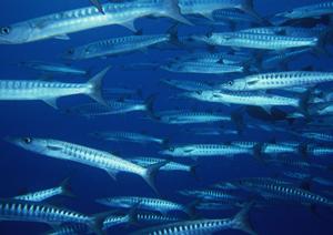 川口駅から徒歩4分の快適ステイ！東横INN川口駅前の魅力と利用ポイント