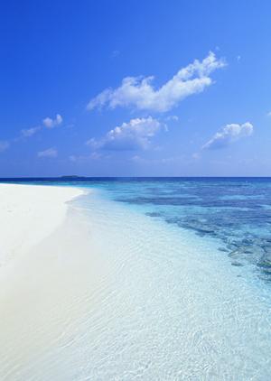 【公式情報を基に解説】東横INN柏駅西口の魅力と宿泊のポイント